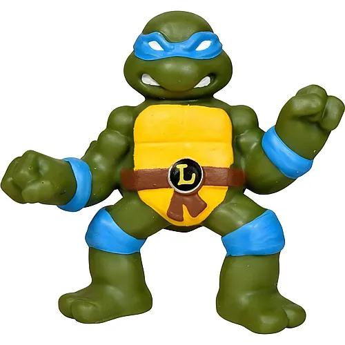 Strech Ninjas  Leonardo