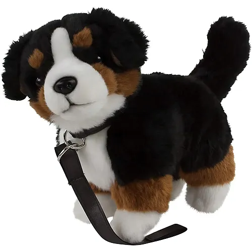 Bovaro del Bernese con guinzaglio - 23 cm