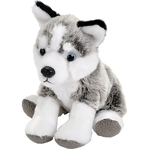 Wild Republic Wilderness Pocketkins Husky (12cm)