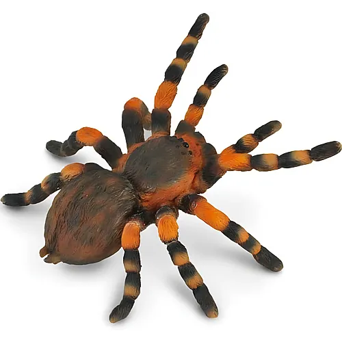 CollectA Little Wonders Insects & Spiders Mexikanische Rotknie-Vogelspinne