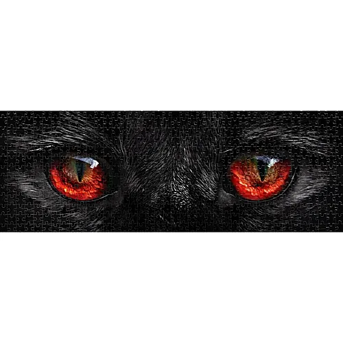 Nova Puzzle Panorama Cat Eyes - 1000 Teile