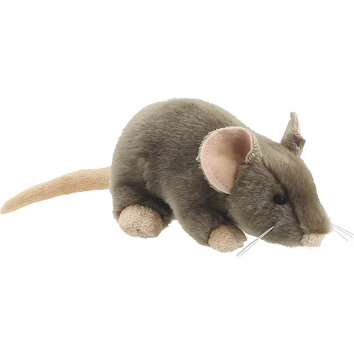 Ratte - 14 cm