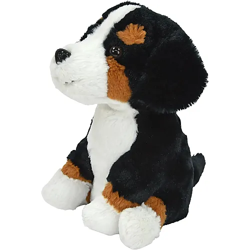 Berner-Sennenhund Rocky mit Wiedergabefunktion - 19 cm