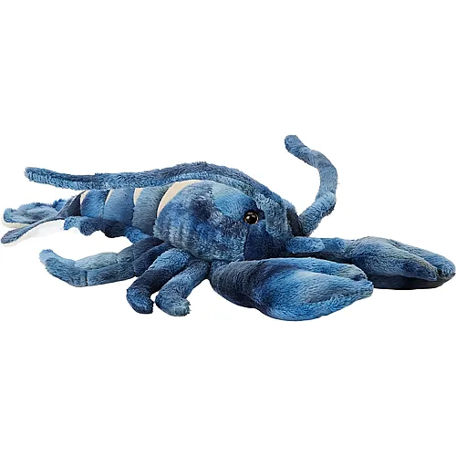 Hummer Blau - 33 cm