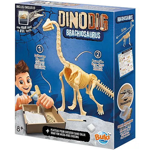 Dino zum Ausgraben  Brachiosaurus