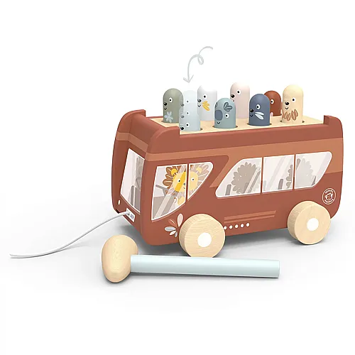 Speedy Monkey Hammerbank Bus