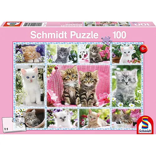 Schmidt Puzzle Katzenbabies (100Teile)