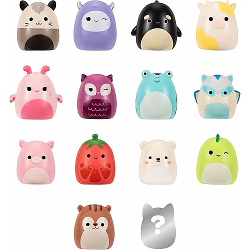 Squishmallows Squish-a-longs 14er Pack Wave 1, Style 2