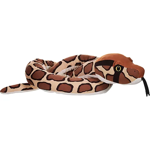 Burmesische Python 137cm