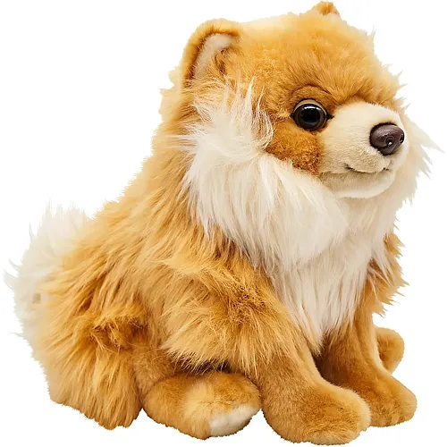 Unitoys Zwergspitz sitzend - 23 cm