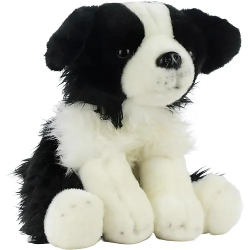 Border Collie - 25 cm