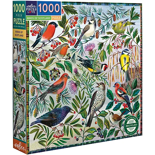 eeBoo Puzzle Birds of Scotland (1000Teile)