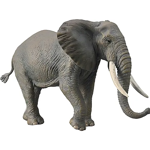 CollectA Afrikanischer Elefant