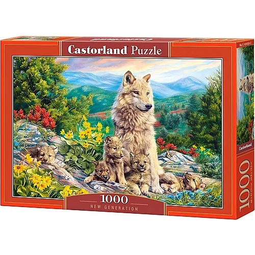 Castorland Puzzle New Generation (1000Teile)