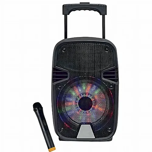 Mgm Dansing Enceinte Autonome ET Lumineuse 8 Pouces + Micro Sans