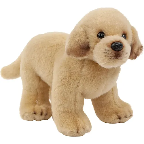 Teddys Rothenburg Labrador stehend Blond - 20 cm