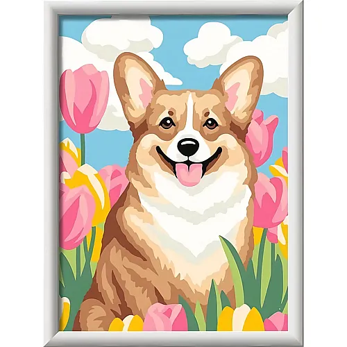Ravensburger CreArt Malen nach Zahlen - Corgi