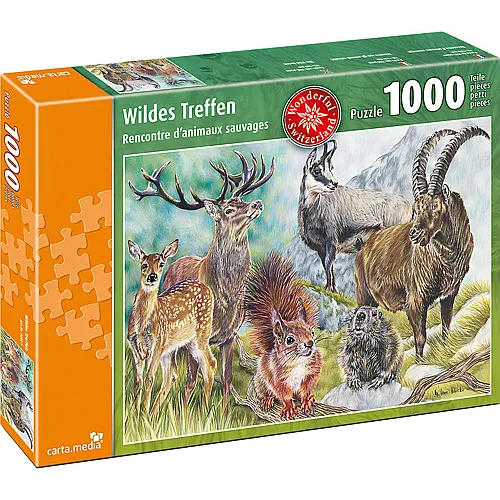 Wildes Treffen - 1000 Teile