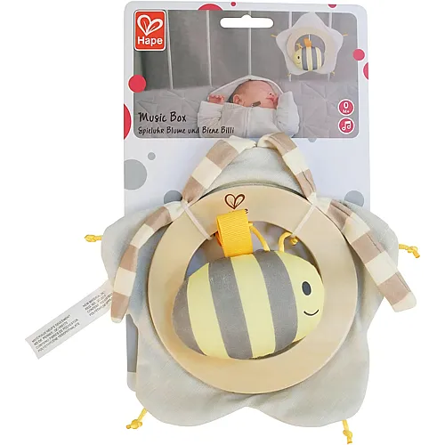Hape Music Box