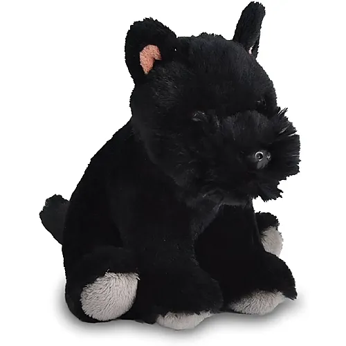 Schottischer Terrier 12cm