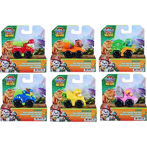 Spin Master Paw Patrol Pup Squad Dino Racers Dino Movie Pup Squad sortiert