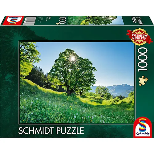 Schmidt Puzzle Berg-Ahorn im Sonnenlicht St. Gallen, Schweiz (1000Teile)