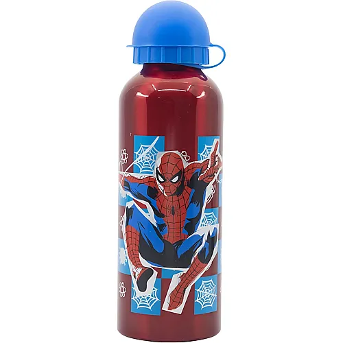 Aluminium Trinkflasche 530ml