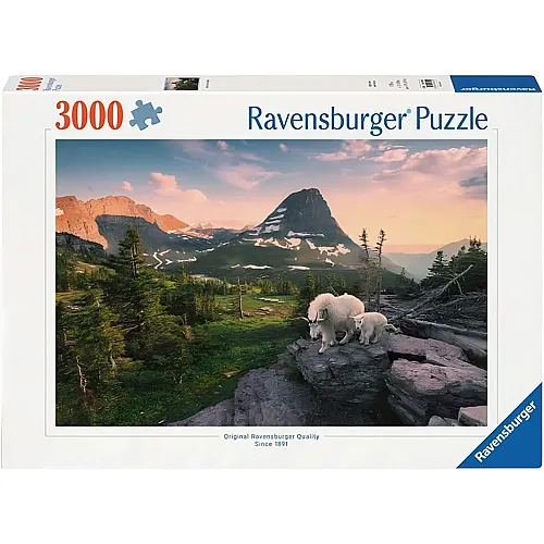 Ravensburger Puzzle Almbock mit Baby (3000Teile)