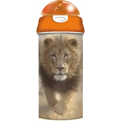 3D Trinkflasche Löwe - 600 ml