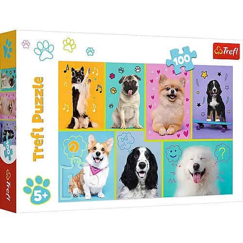 In der Welt der Hunde - 100 Teile