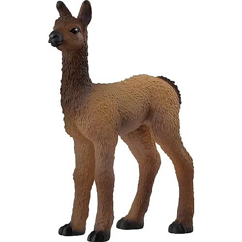Schleich Farm World Lama Fohlen
