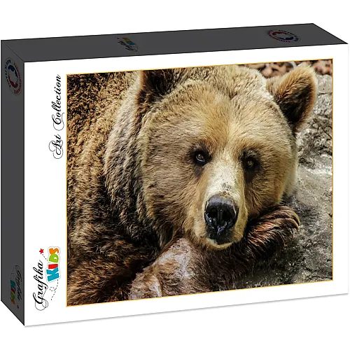 Grafika Puzzle Bear (12Teile)