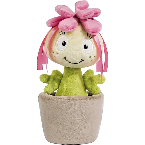 Nici Pflanze Sedum Amalia (18cm)