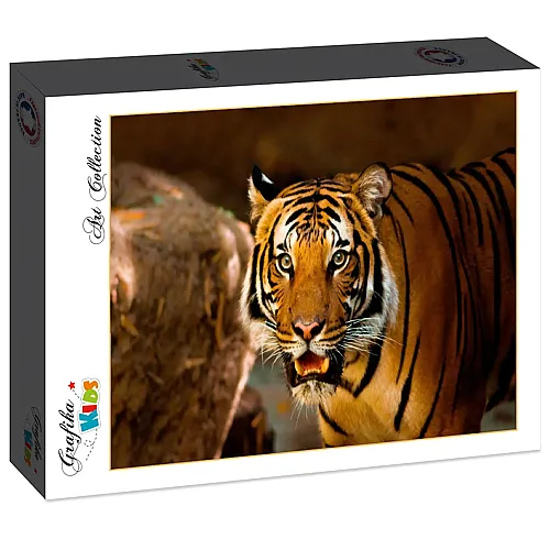 Grafika Puzzle Art Collection Grafika Kids Tiger - 24 Teile