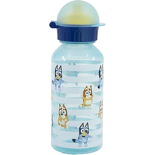 Trinkflasche 370ml