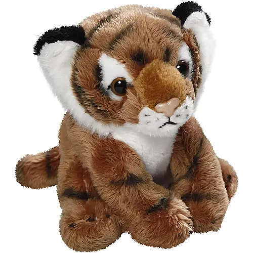 Carl Dick Tiger Braun - 12 cm