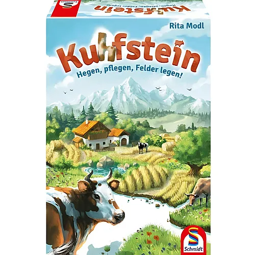 Schmidt Spiele Kuhfstein