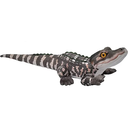 Baby-Alligator 50cm