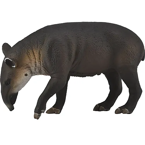 CollectA Wild Life South America Mittel-Amerikanisches Tapir