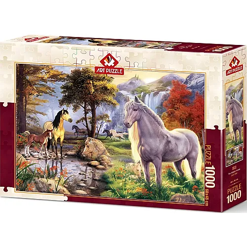 Art Puzzle Hidden Horses - 1000 Teile
