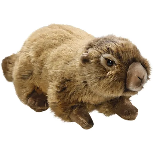 Murmeltier - 25 cm