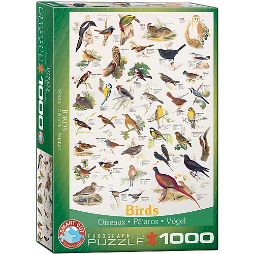 Birds 1000Teile