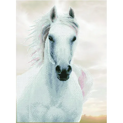 Pferd weiss
