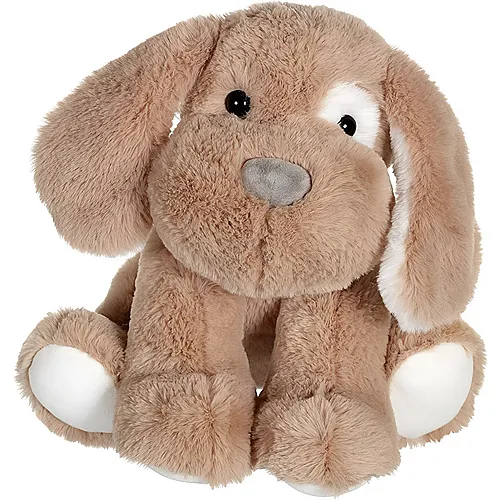 Friends Floppy Dog 30cm