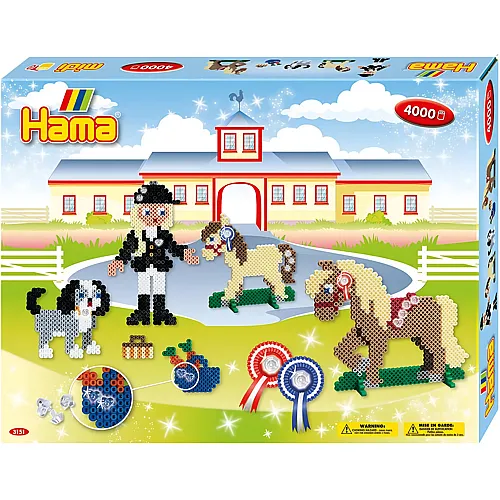 Geschenkpackung Reiterhof - 4000 Teile