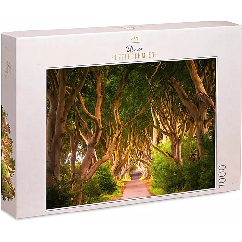 Ulmer Puzzleschmiede The Dark Hedges - Stiller Weg durch die geheimnisvoll verschlungene Buchen-Allee in Nordirland - 1000 Teile