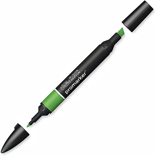 Winsor & Newton W&n Promarker Waldgr�n (g356)