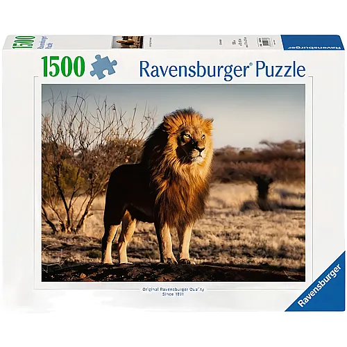 Der Löwe. Der König der Tiere 1500Teile