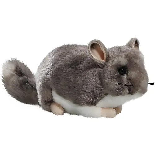 Carl Dick Chinchilla - 23 cm