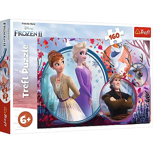 Disney Frozen 2 160Teile